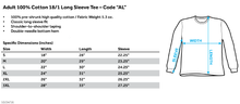 Load image into Gallery viewer, Dco - Flash Logo Distressed Long Sleeve Adult 18/1

