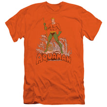 Load image into Gallery viewer, Dc - Aquaman Distressed Short Sleeve Adult 30/1
