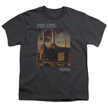 Load image into Gallery viewer, Pink Floyd - Faded Animals Short Sleeve Youth 18/1
