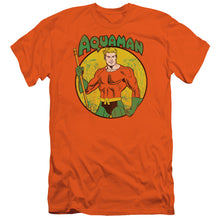 Load image into Gallery viewer, Dc - Aquaman Short Sleeve Adult 30/1
