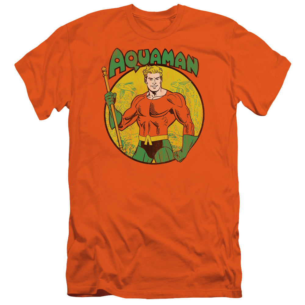 Dc - Aquaman Short Sleeve Adult 30/1